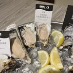 The Oyster Room Nagoya Raschic Ten - 