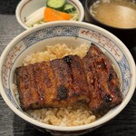 unagi kotetsu Sugamo Ten - 