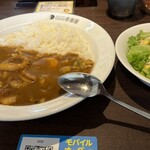 CoCo Ichiban Ya Kagawa Kokubunji Ten - 海の幸カレー200g 1辛　サラダセット