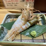 旬魚 たつみ - 料理写真:ゴジラエビ刺し