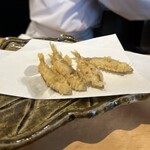 Tempura Sen no Tane - 