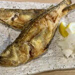 俺の魚を食ってみろ!!  - 