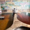 Tsurumaru Onsen - 写真お借りしました　