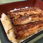 Unagi Fujita Tokyo Ten - 