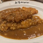 Jotou Curry Yokohamaporutaten - とんかつカレー