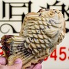 Taiyaki Sharaku - 