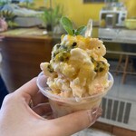 Hau tree gelato - 