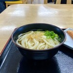 亀城庵 - かけうどんを一杯