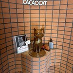 CACAOCAT Shirokanedai Ten - 