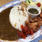 V-1 - カレープレート　