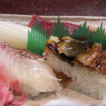 Abiru Zushi - 