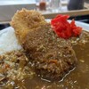 本家絶品！ 煮込みカツカレーの店 - 料理写真: