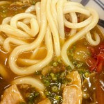 Teuchi Udon Gennai - 