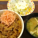 Sukiya Dotonbori Icchome Ten - 牛丼並　つゆだく＆生野菜　３７８円