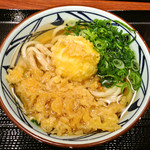 Marugame Seimen Sagamihara Ten - かけ+温泉卵半熟