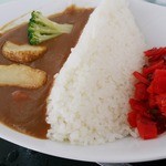 Ganbari Yama - 奈良俣ダムカレー…税込1000円