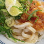 Marugame Seimen Ionmoru Kobekita Ten - ぶっかけ冷しうどん