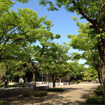 Tokimeguru, Cafe. - 幾久公園、左奥がカフェ