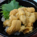 松乃屋食堂 - 生うにどん