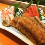 Shimoda Zushi - 