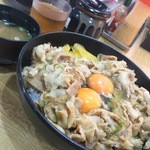 ごはん処　しなの - ガリすた丼（メガ盛り）