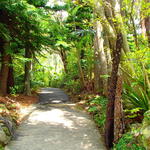 Yakushima Fruits Garden - 