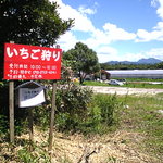 Laputa Farm - 果物狩り園