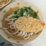 Chikara Yano Ten - 天ぷらうどん