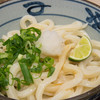 宮武讃岐うどん - 料理写真:生醤油（大：450円）