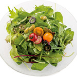 Simple green salad ~lemon dressing~