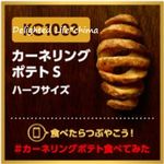 Kentucky Fried Chicken Kawasaki Ikuta Ten - カーネルリングポテト（無料クーポン）16.8月