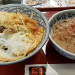 Menbo Tsurutsuru Yahagi Ten - 天麩羅丼におろしそば（小）