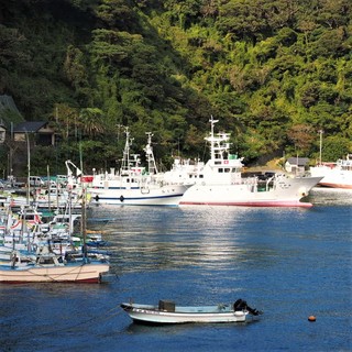 Ukai Shoten - 波浮港