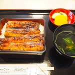 Unagi Hikuma - 