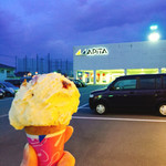 Thirty-One Ice Cream Toyama Apita Ten - ラムレーズン