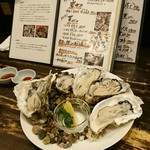 OYSTERBAR SHELL&SHRIMP - 