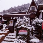 ALPINA - 