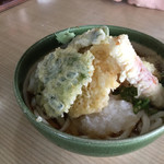 Teuchi Udon Akagi - 天付きぶっかけうどん 650円