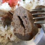 The Kebab Hiragishi Ten - アダナシシケバブはこんな感じ