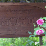 Pension Raccoon - 