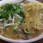 Shoryu - ラーメンの麺ゎこんな感じ