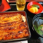 Unagi Hikuma - 