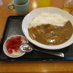 Wafu Restaurant Marumatsu Kakunodate Ten - カレーライス　498円