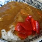 Futaba No Eki - カレー丼