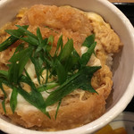 Naniwa Robata Hakka Komeike Ten - ミニカツ丼☆★★☆( ´∀｀)