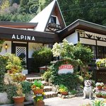 ALPINA - 