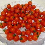 Tomato Kinenkan - 