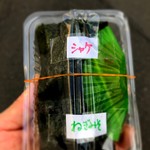 Nigiri Meshiya - 