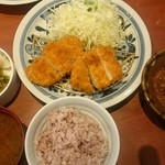 Tonkatsu Hamakatsu Saga Yamato Ten - 