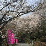 みよし - 形原神社 参道